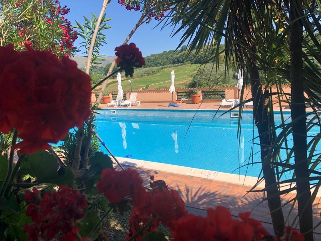 Rea Villa Coltodino Экстерьер фото